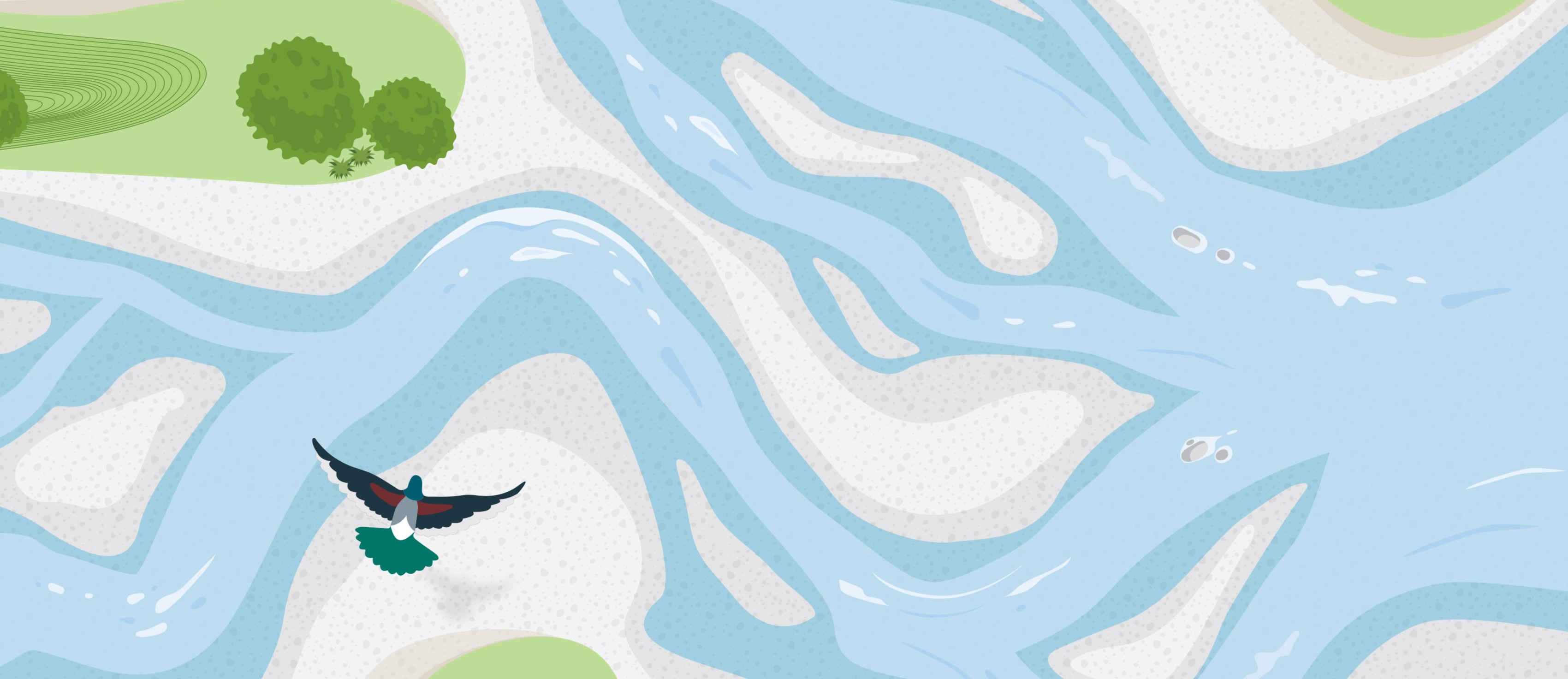 Graphic illustration of a braided river