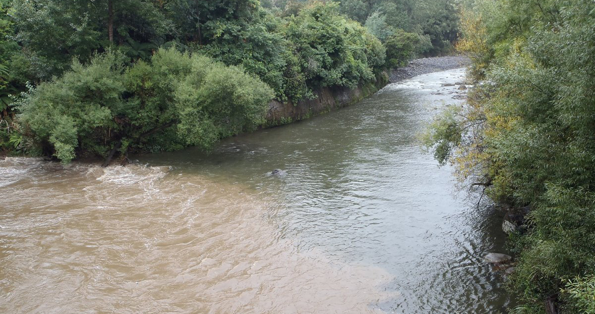 Floodwaters at Manganui o te Ao River and Makino Stream confluence
