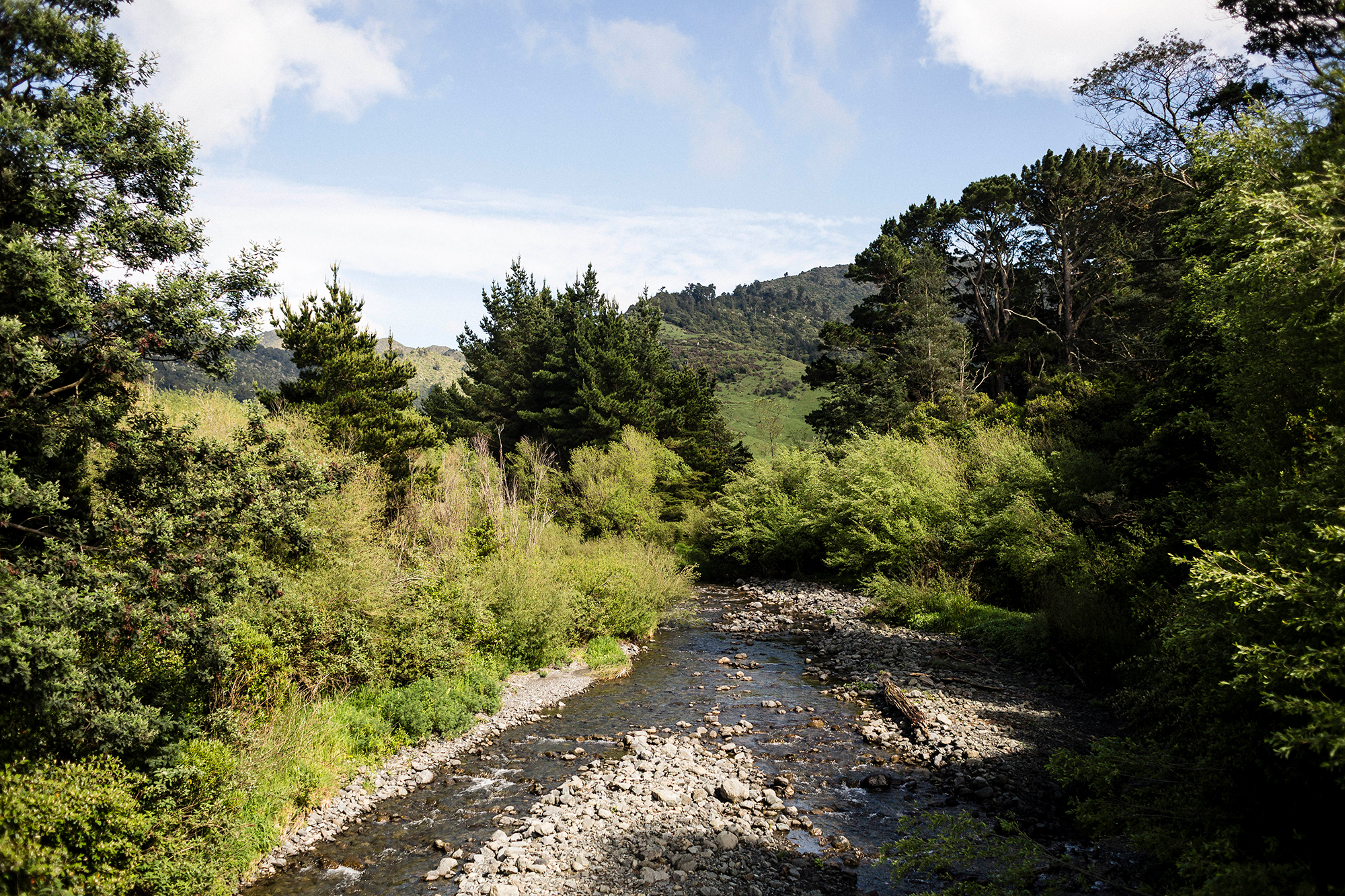 Shot over a river surrounded by native trees